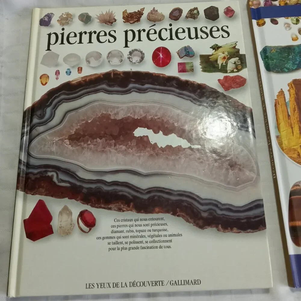 Two books on rocks, minerals, and gemstones, in French - Picture 2 of 10